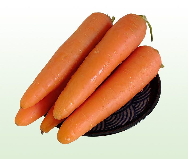 Carrot