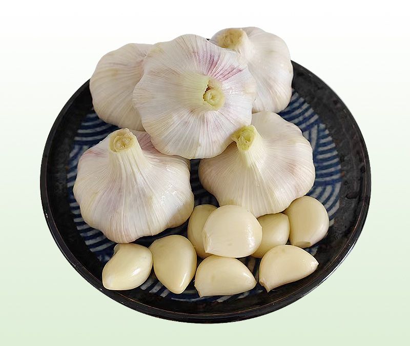 Garlic