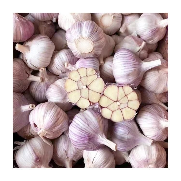 Fresh Garlic 