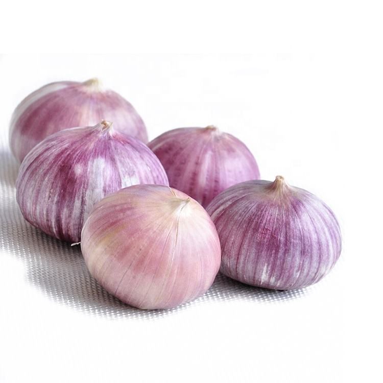 Fresh Garlic 